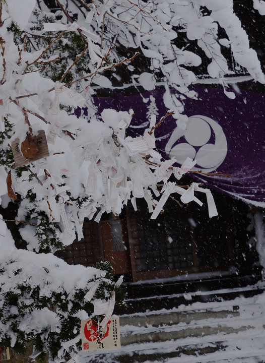 雪降る正月の神社