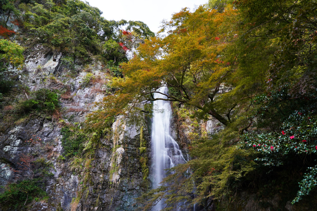 箕面の滝とその滝道の紅葉