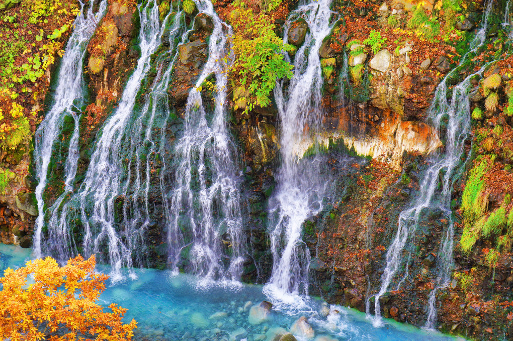 紅葉真っただ中の白髭の滝