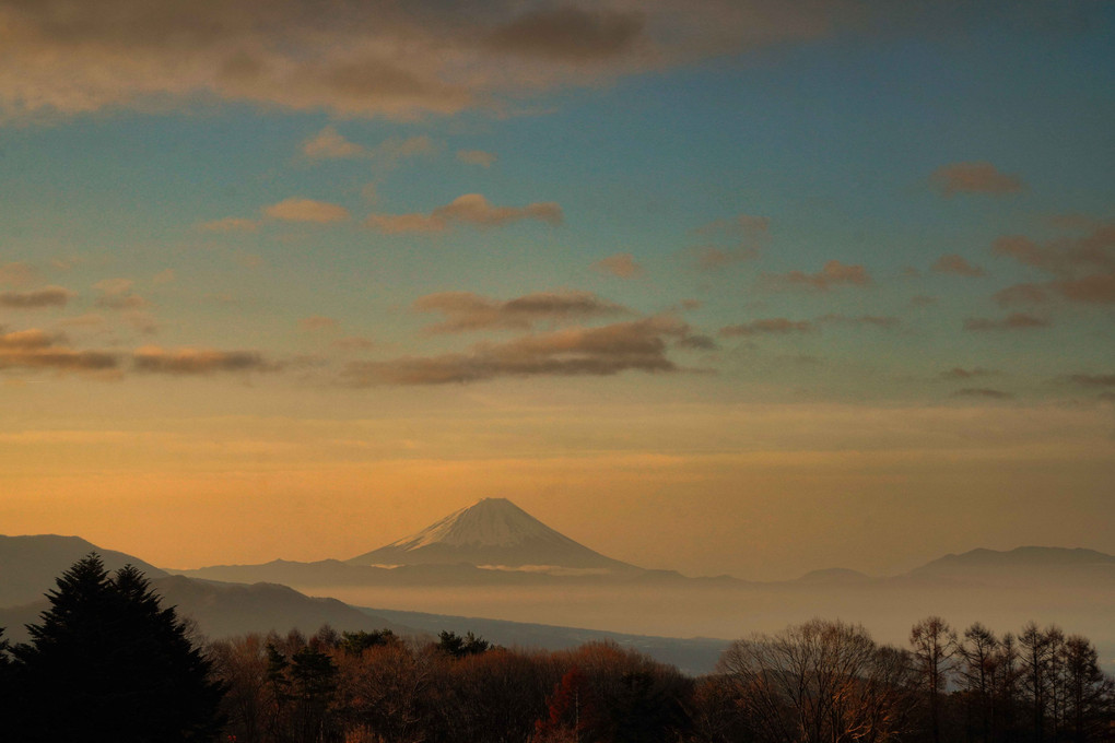 朝の富士山