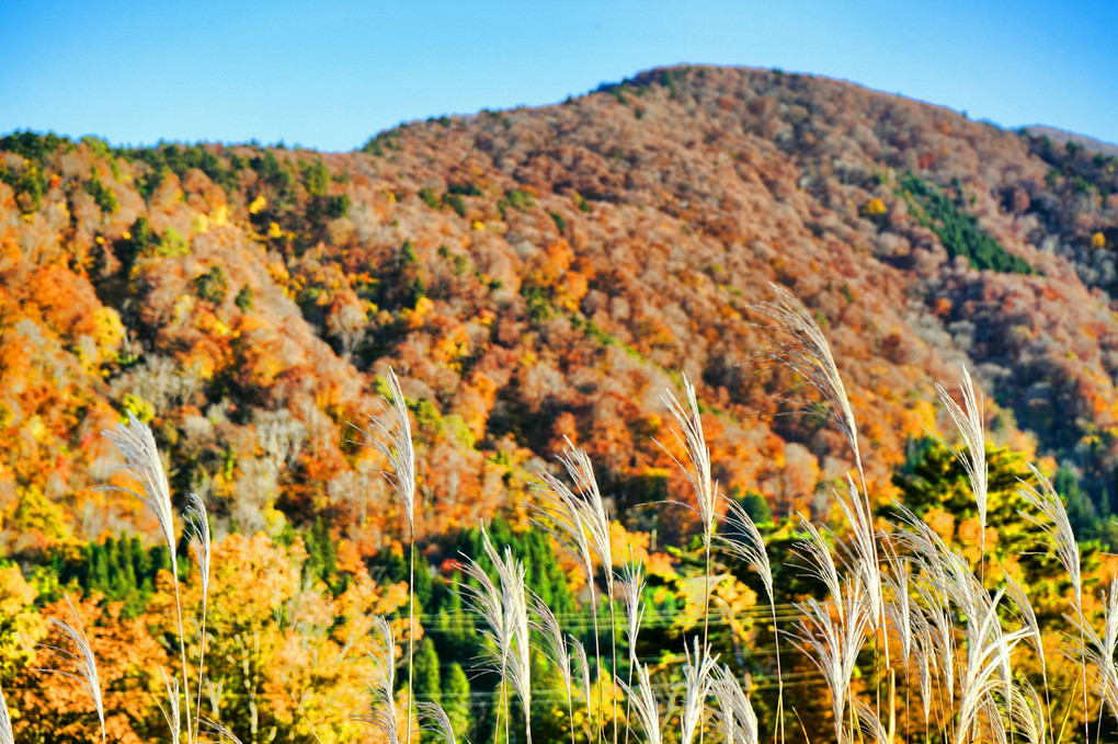 秋の白川郷の山々