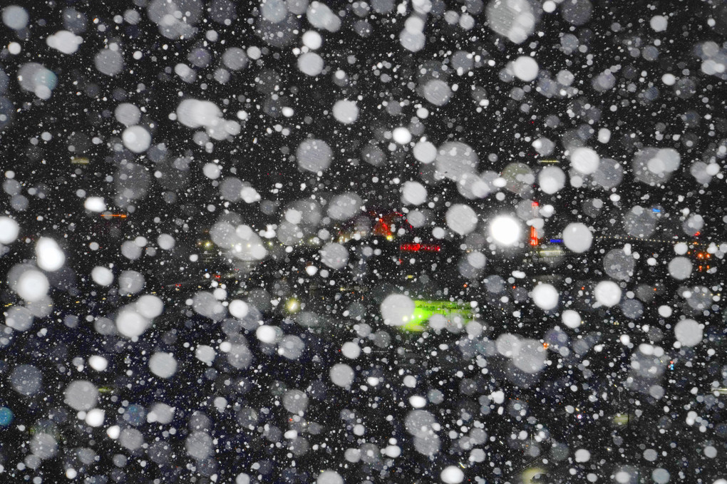 神戸市街にも１０年振りに積雪