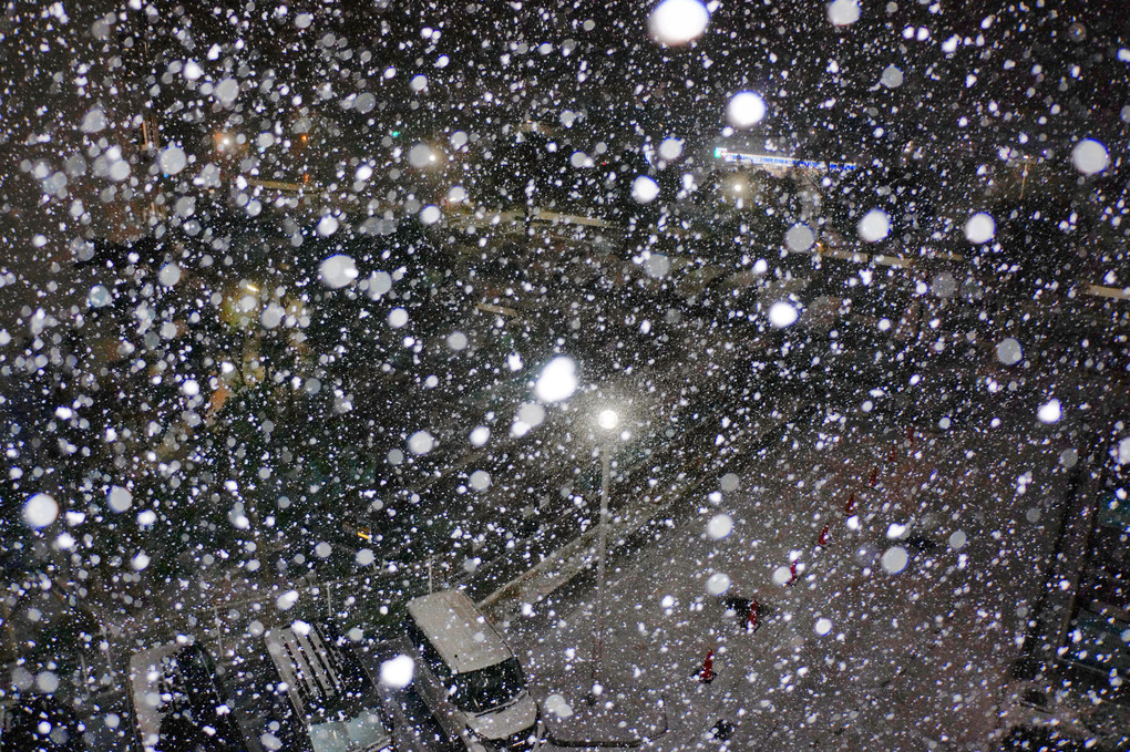 神戸市街にも１０年振りに積雪
