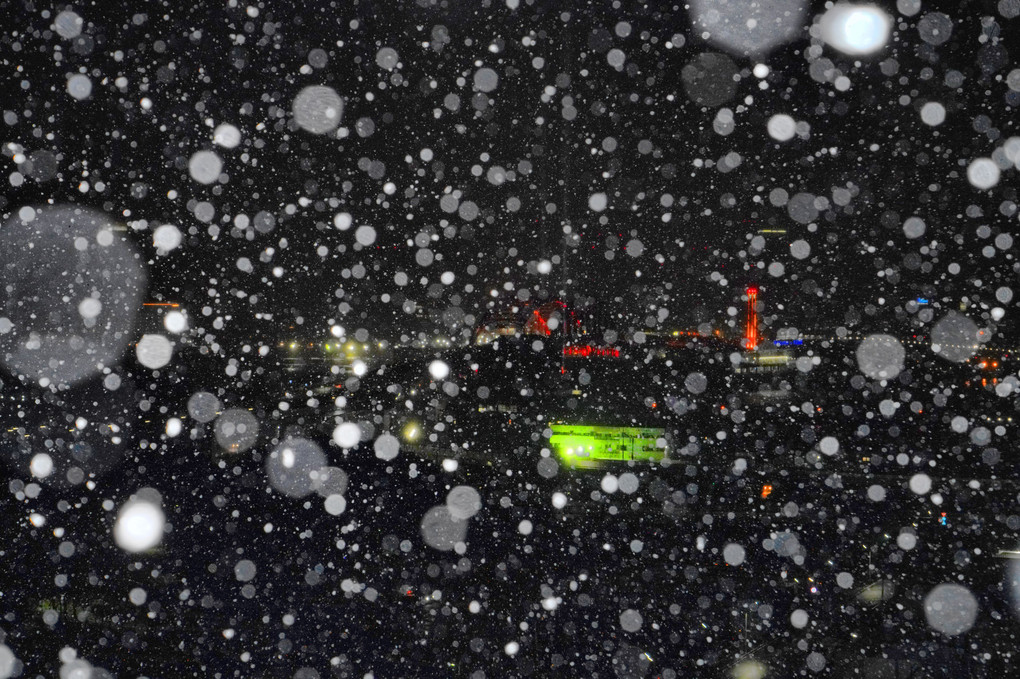 降雪の中を走るポートライナー