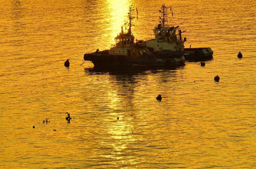 黄金色の海に浮かぶ船