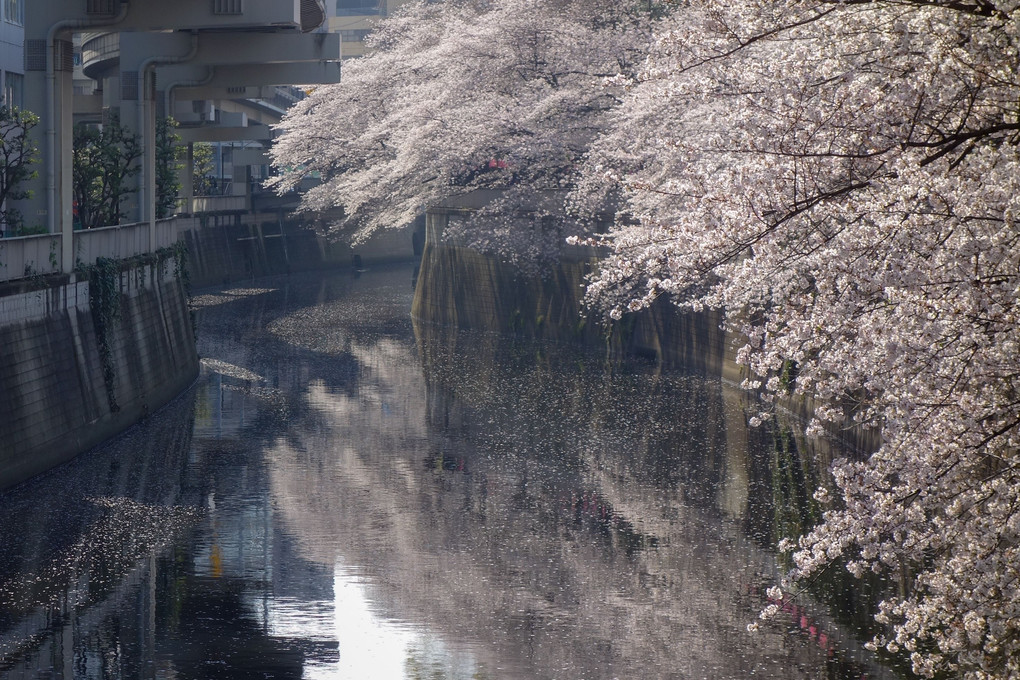 江戸川橋