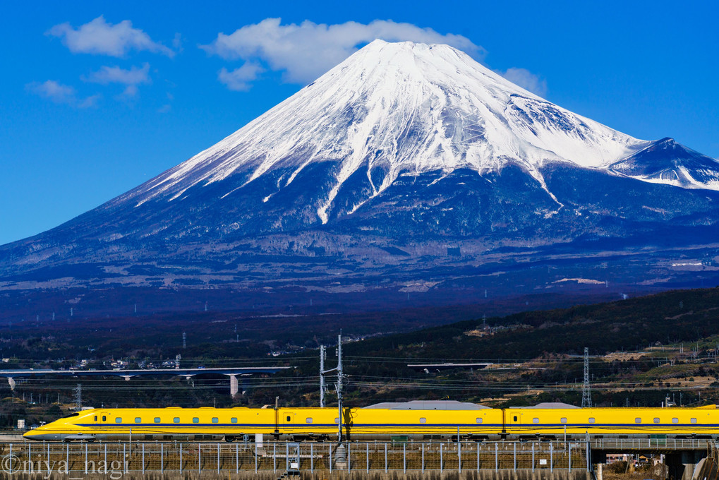 富士山と黄色い新幹線