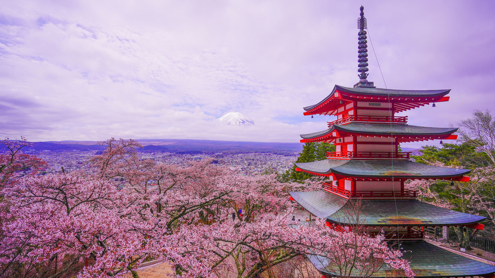 ～桜と富士山～　「新倉山浅間公園編」part1　