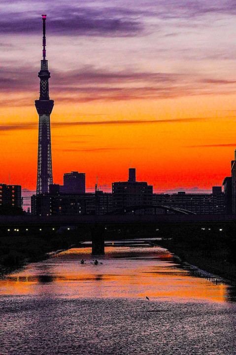 ～オレンジ色に染まる空に東京スカイツリーと旧中川にカヌーと飛び跳ねる魚～