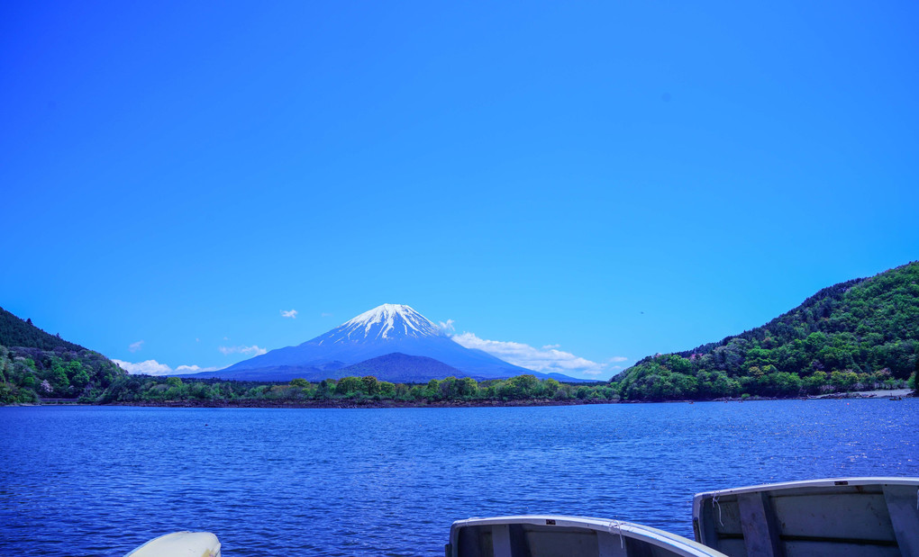 ～新緑の精進湖と富士～