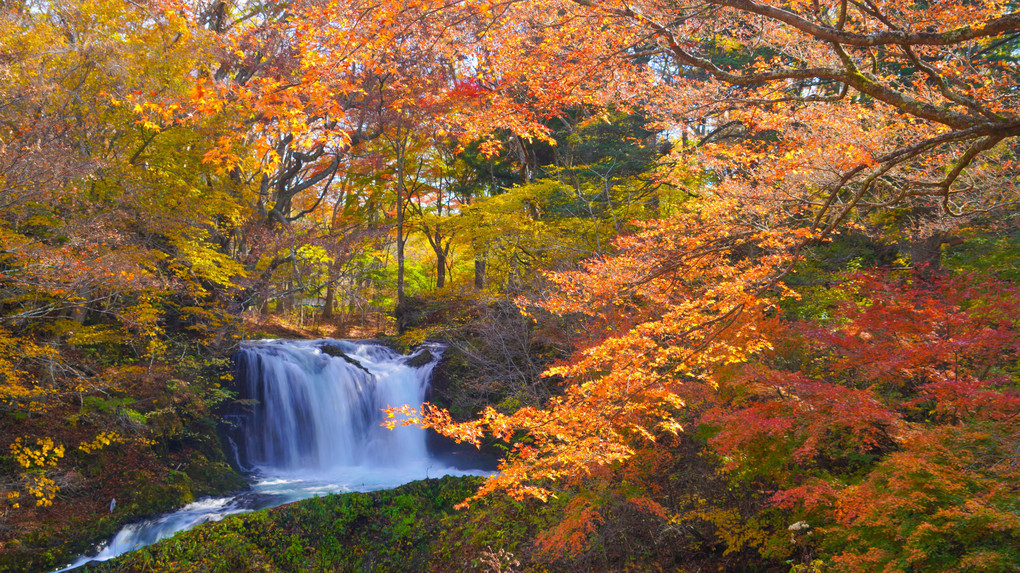 ～紅葉と鐘山の滝～
