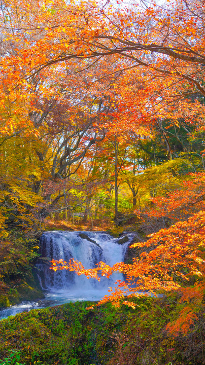 ～紅葉と鐘山の滝～