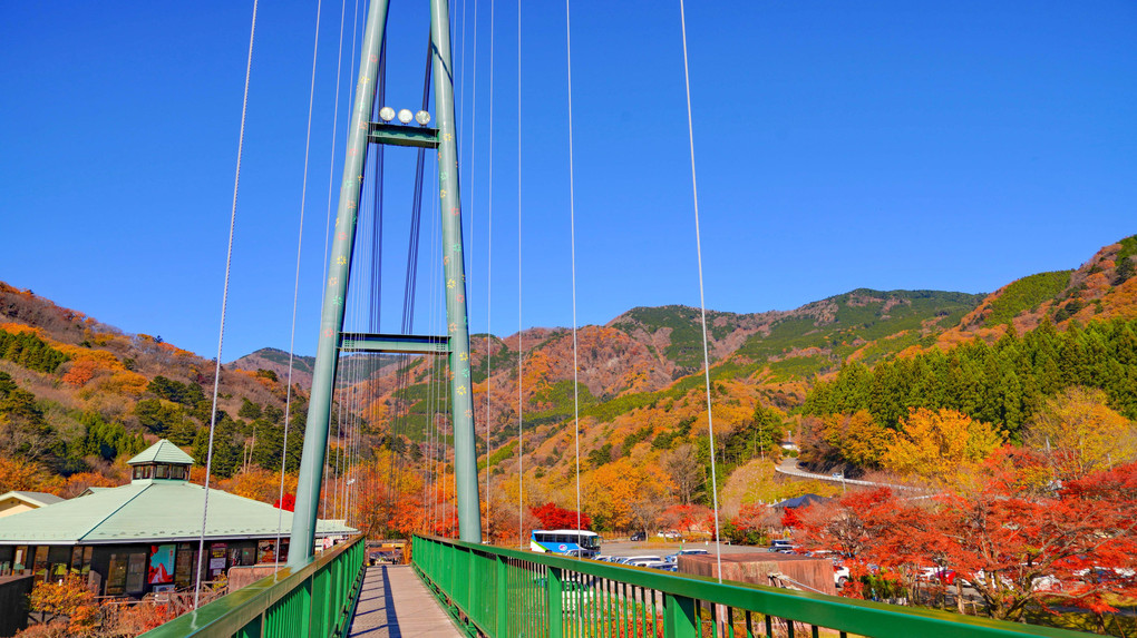 ～森林の駅　もみじ谷の大吊橋と晩秋の紅葉～