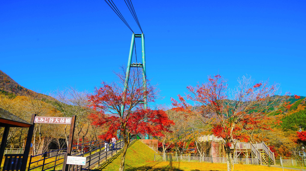 ～森林の駅　もみじ谷の大吊橋と晩秋の紅葉～