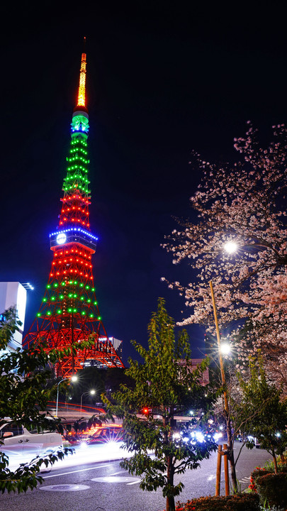 ～東京タワーのスペシャルライトアップ「GUCCI」と夜桜～