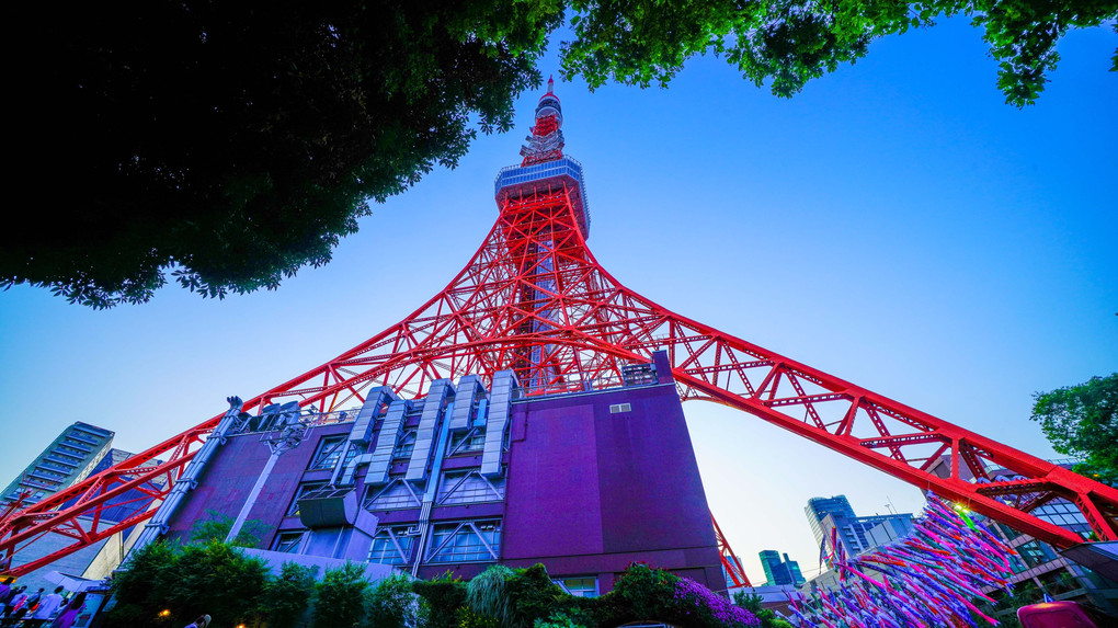 ～東京タワー周辺の新緑と鯉のぼり～