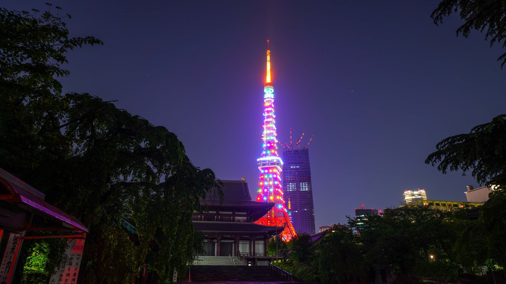 ～東京タワー夜景～