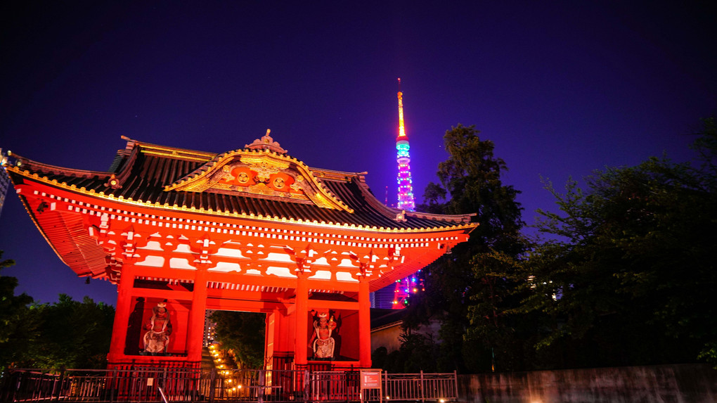 ～東京タワー夜景～