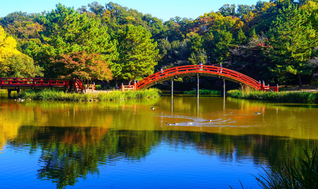 ～称名寺の紅葉～