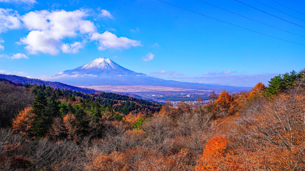 ～二十曲がり峠からの紅葉と富士～