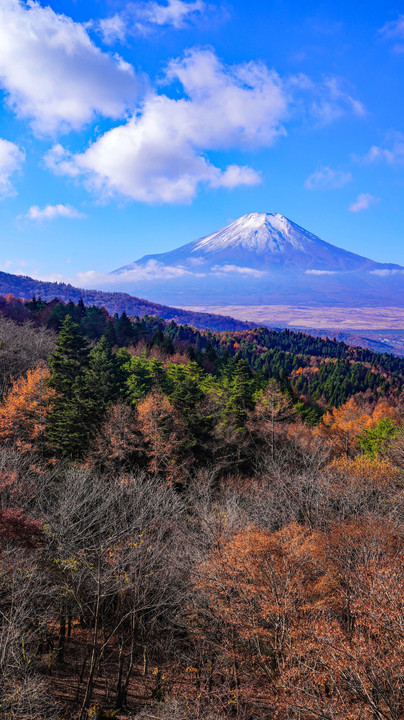 ～二十曲がり峠からの紅葉と富士～