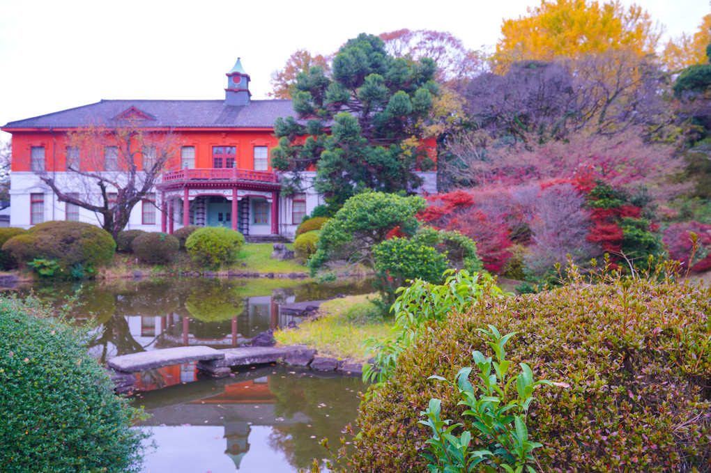 ～晩秋の小石川植物園～