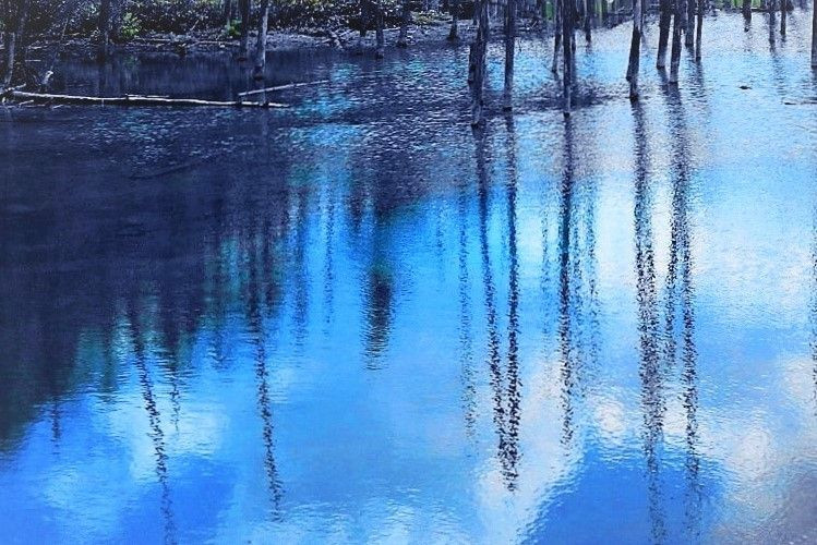 青い池や視線焼き付く夏の空