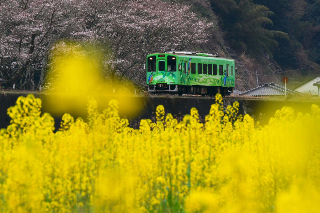 錦川清流線