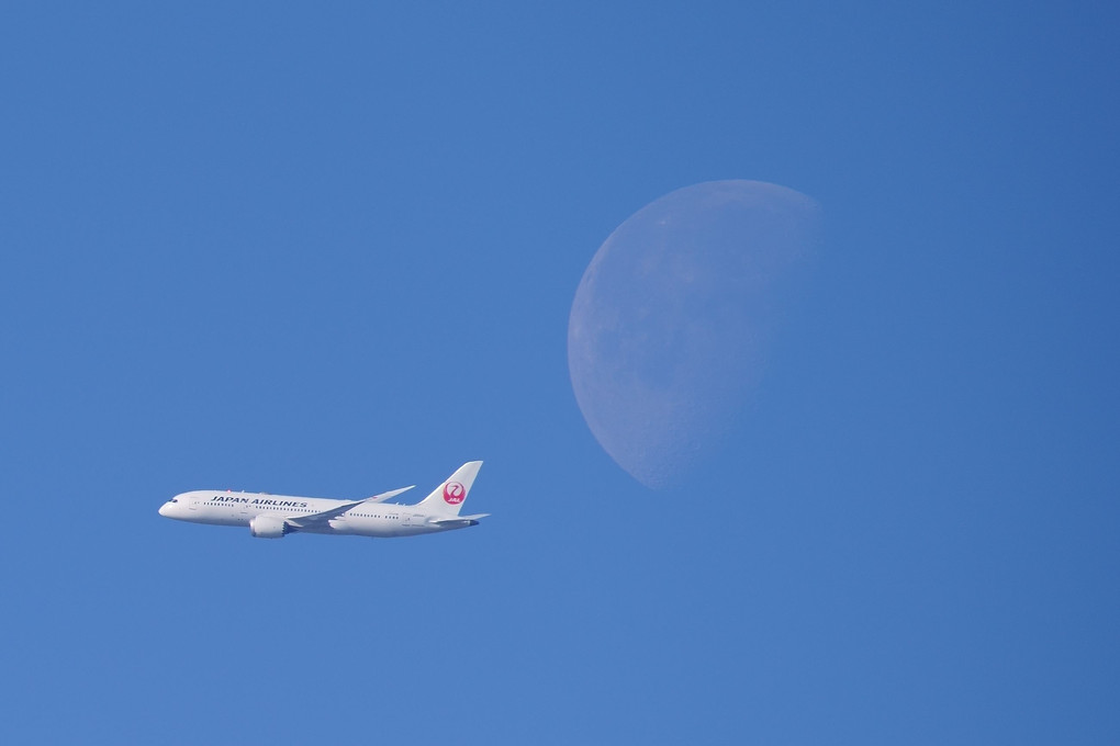 The moon with JAL's  787 Dreamliner