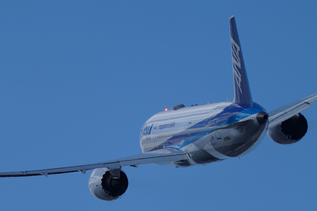 ブルースカイ　ANA(Boeing 787-8 Dreamliner)