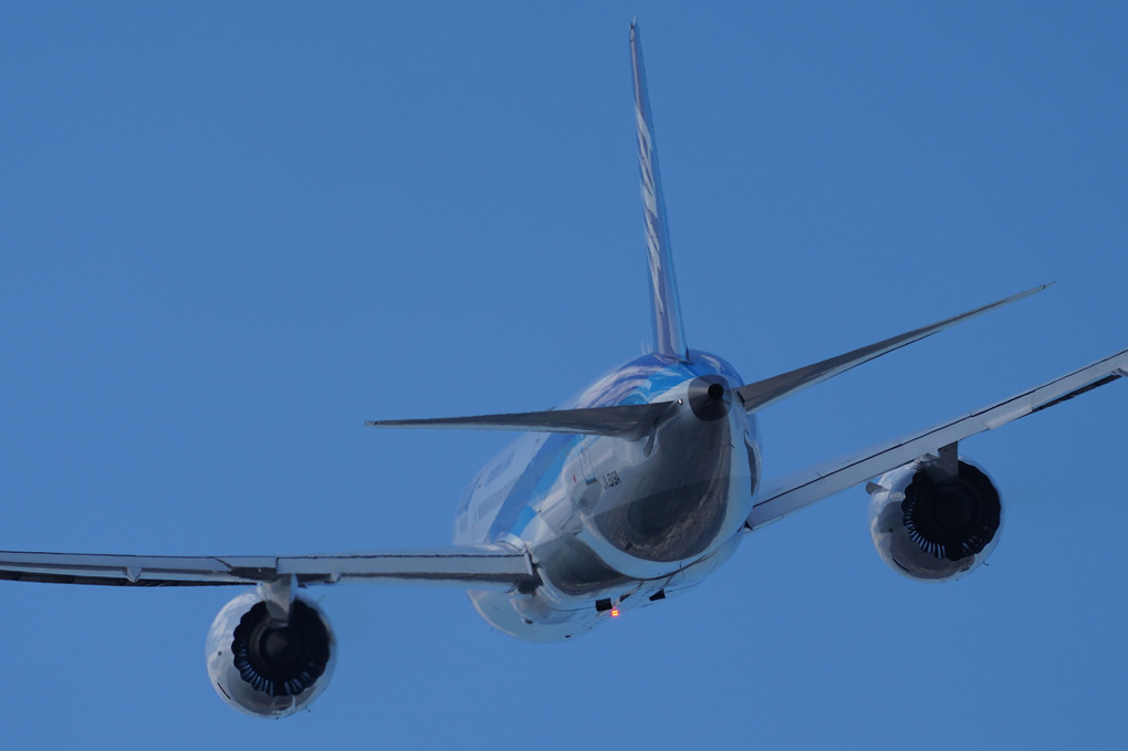ブルースカイ　ANA(Boeing 787-8 Dreamliner)