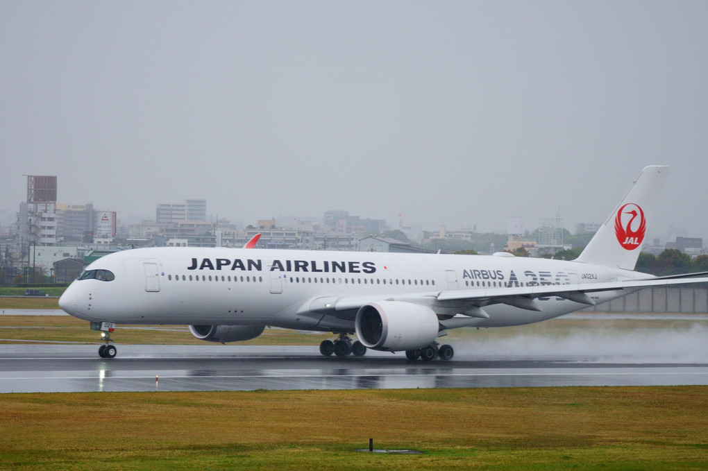 雨の伊丹・大阪空港