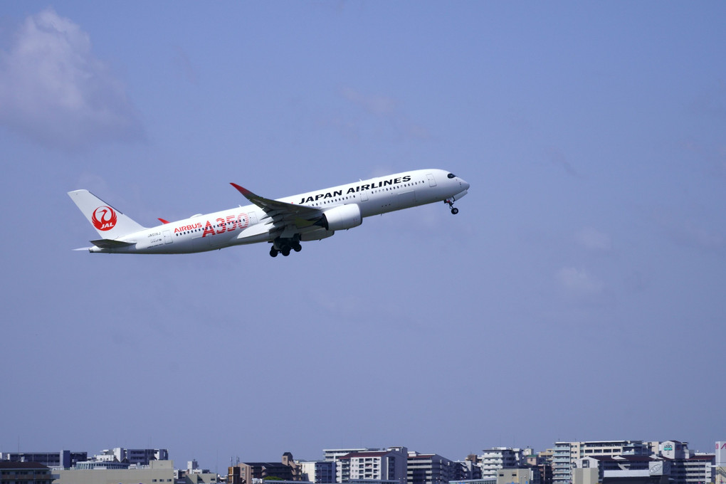 JAL A350特別塗装機 (1番機）