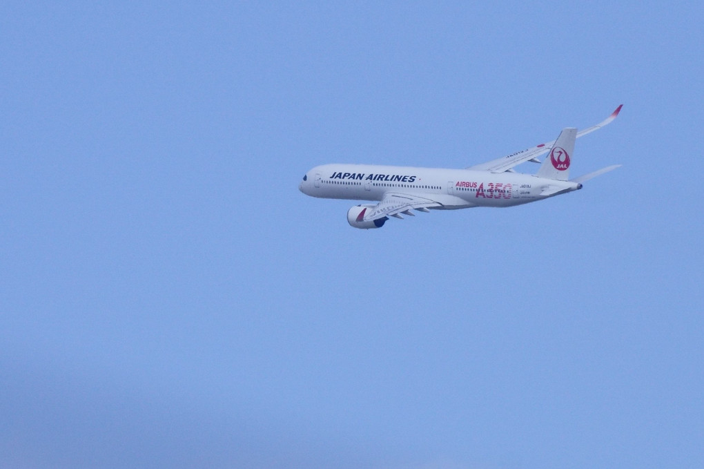 JAL A350特別塗装機 (1番機）