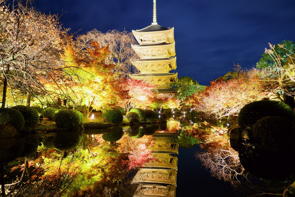 京都・東寺（夜のライトアップ１０景）　紅葉ライトアップ