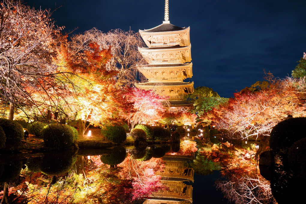 京都・東寺（夜のライトアップ１０景）　紅葉ライトアップ