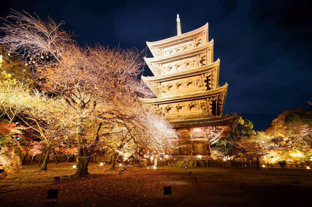 京都・東寺（夜のライトアップ１０景）　紅葉ライトアップ