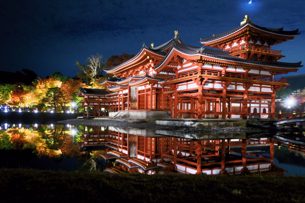 京都・宇治平等院（夜のライトアップ五景）　紅葉ライトアップ