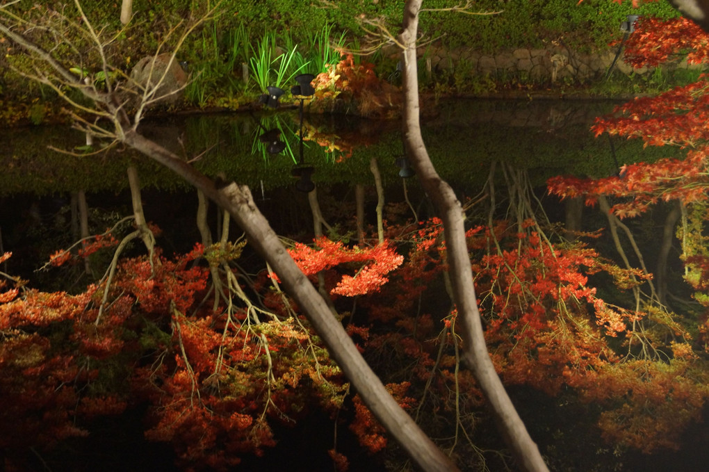 晩秋の湖面
