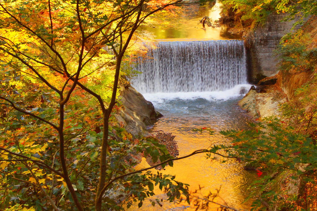 秋彩の渓