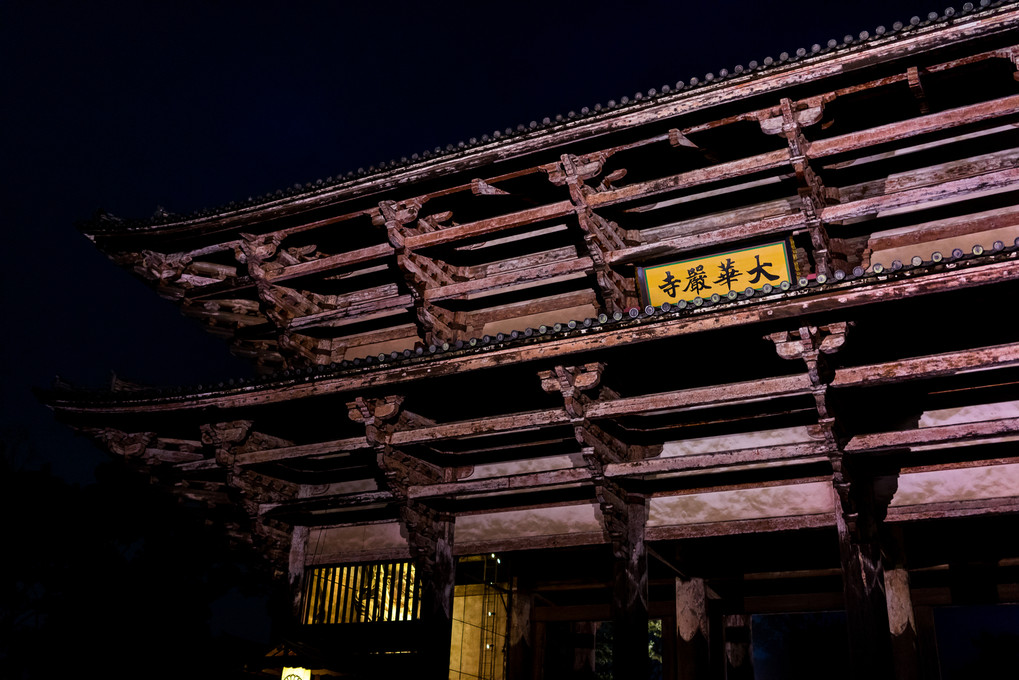 奈良の夜