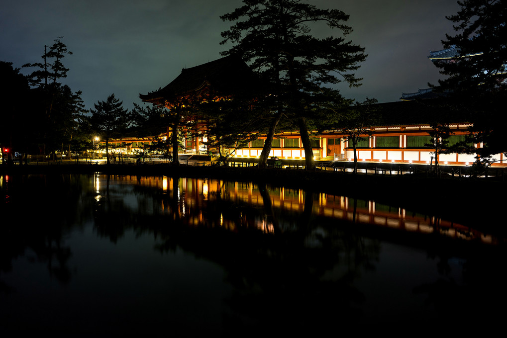 奈良の夜