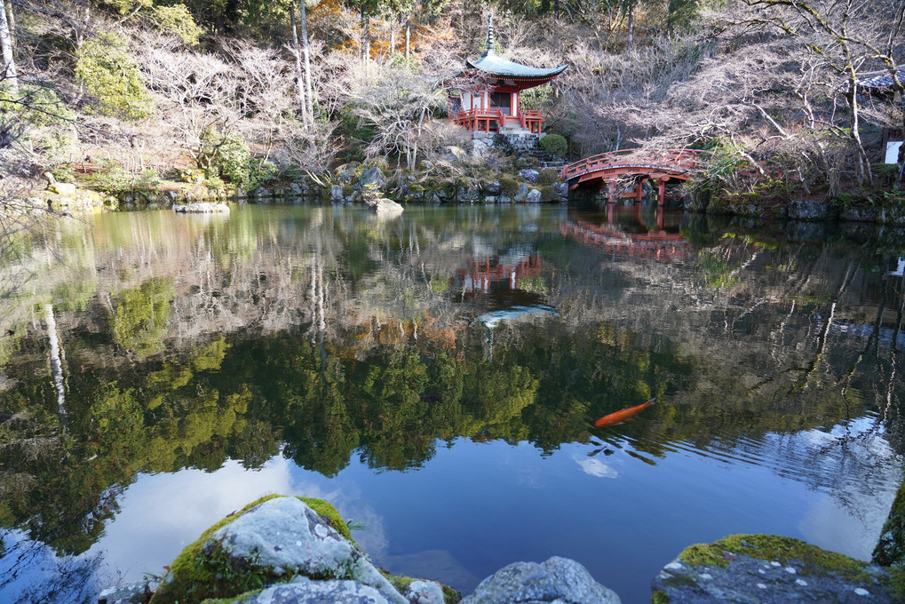 年の瀬の山科・宇治寺社巡り