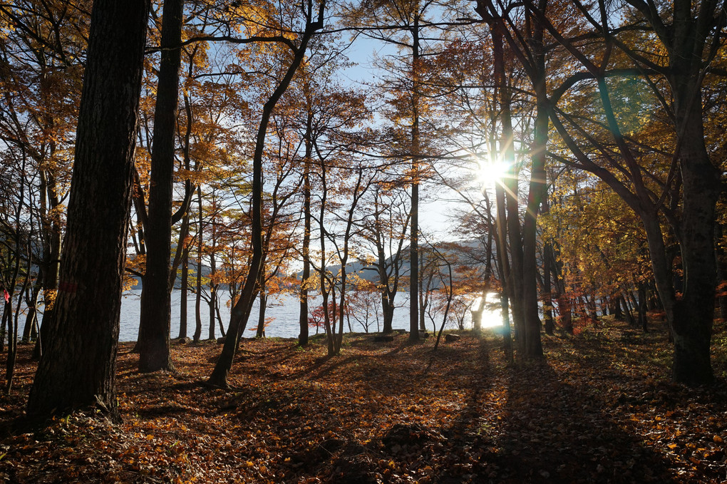 榛名湖畔の秋