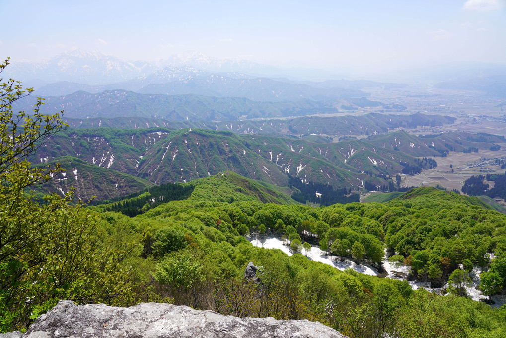 権現堂山★残雪と新緑の尾根歩き