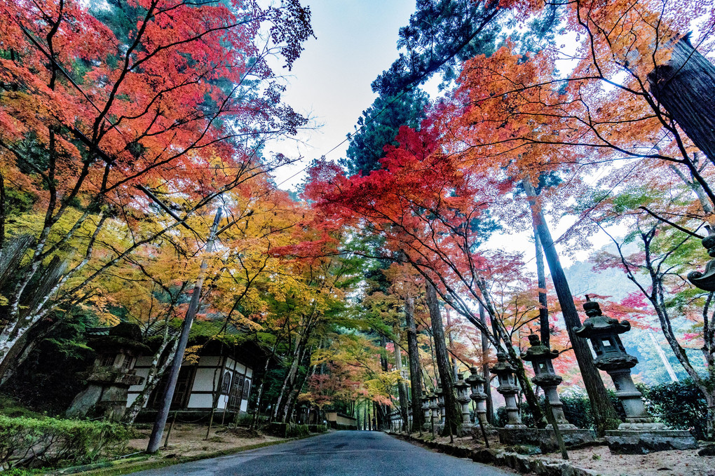 佛通寺 PART2