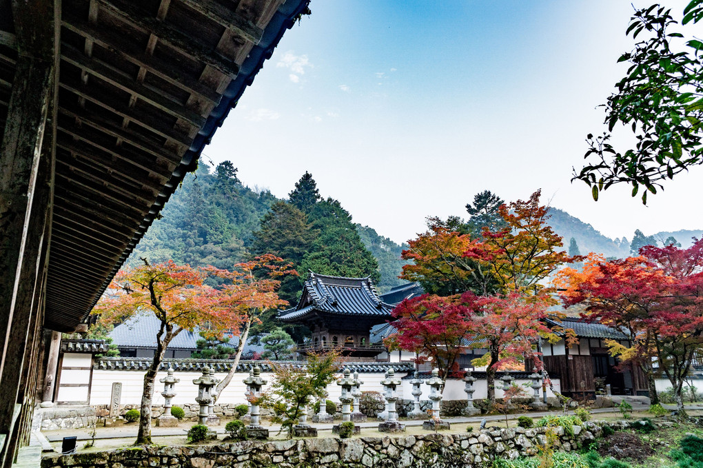 佛通寺 PART2