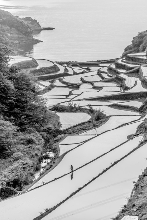 浜野浦の棚田