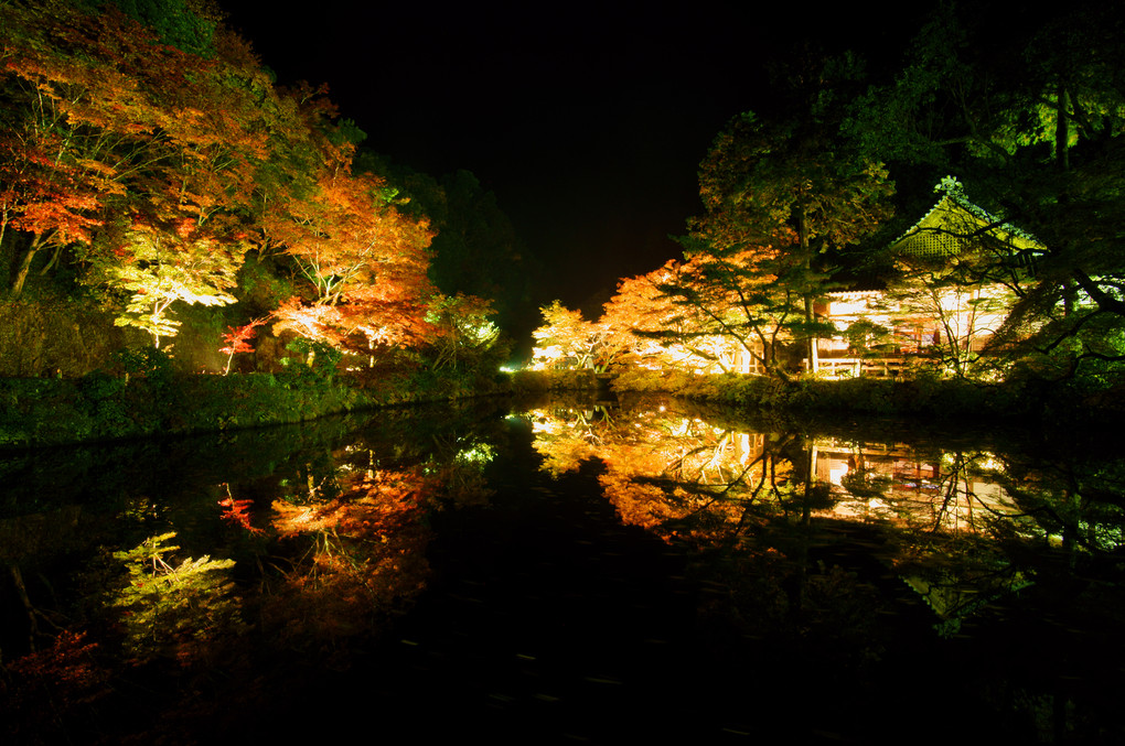 秋の彩りライトアップ、宝生寺