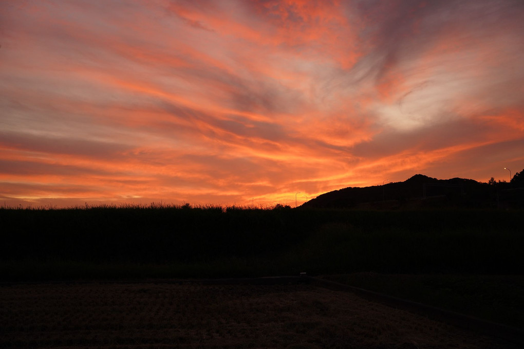 夕焼け